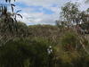 P5010140.JPG